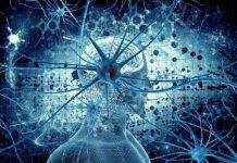 Психологи посчитали, сколько мыслей в наших головах