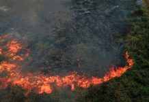 Амазония вновь в огне: пожарные не могут потушить пожары