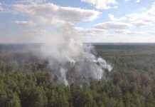 Пожары в Луганской области тушат четвёртые сутки подряд