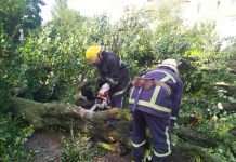 Сорванные крыши и поваленные деревья: в Украине бушевала стихия