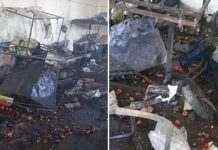 В Сирии и Иране прогремели взрывы: много погибших