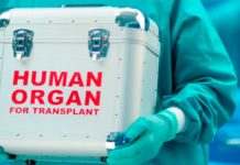 Пересадку органов и костного мозга будут проводить в Украине