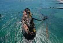 Затонувший танкер «Делфи» подняли на киль, – Криклий