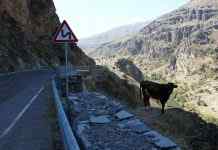 В Грузии микроавтобус сорвался в ущелье, погибло 17 человек