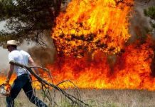 В Испании бушует лесной пожар, эвакуировали 250 человек