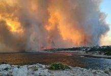 Аномальная жара в Европе: Францию и Италию охватили лесные пожары