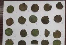 Клад столетия: в Житомирской области нашли уникальные монеты
