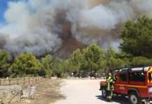 В Калифорнии и Франции не утихают лесные пожары