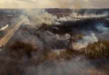 В Украине в 40 раз увеличилась площадь лесных пожаров