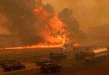 Калифорнию из-за молний охватили пожары: известно о пяти жертвах