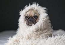 Синоптики рассказали, когда в Украине ждать первые заморозки