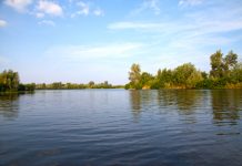 В Украине в очередной раз начала цвести река Днепр