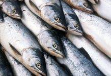 Украина теряет позиции по экспорту рыбы и наращивает импорт