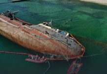 Разрезание «Делфи» может нанести колоссальный ущерб экологии