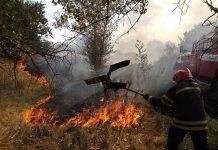 В Киевской и Луганской областях – снова пожары