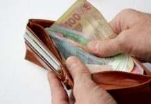 Заработок жителей Украины: до 6 тыс. грн получает 20% работающих