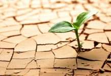 Во Франции самая большая засуха за 60 лет, есть проблемы с водой