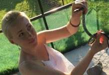 В Украине появилось большое количество змей в жилых секторах