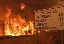 Аргентину охватили масштабные лесные пожары, есть пострадавшие