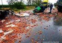 В Николаевской области столкнулись фуры: погибли оба водителя