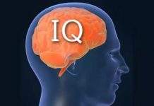 У детей, живущих в «зелёных» регионах, высокий IQ, – учёные