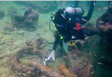 Учёные идентифицировали корабль,затонувший возле Мексики