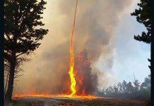 В США растёт число жертв пожаров, начались огненные торнадо