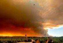 В США пожары бушуют в нескольких штатах, дым добрался до Канады