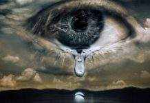 Главы 60 государств дали обещание беречь природу