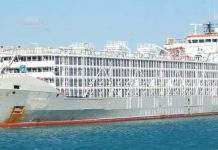 У берегов Японии пропало судно с тысячами коров на борту