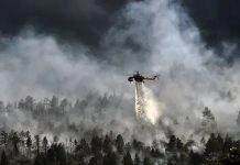 Испания в огне: пылают масштабные лесные пожары