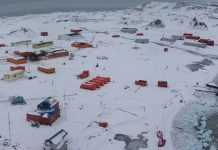 Климатические изменения: в Антарктиде появились комары