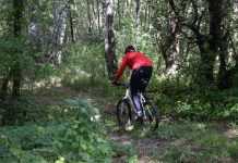 В Чернобыльской зоне проложен первый веломаршрут для туристов