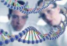 Люди продолжают эволюционировать: исчезают зубы, растут артерии