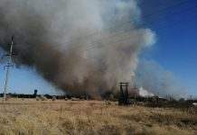 Пожары на Луганщине: полиция установила четыре очага возгорания