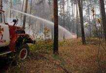 Пожары на Луганщине выжгли территорию площадью 22 тысячи гектаров