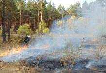 В Луганской области снова бушуют пожары, жителей эвакуируют