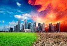 20 миллиардов долларов: такая цена катаклизмов ежегодно для мира