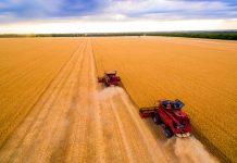 На Днепропетровщине рейдеры «отжали» агрофирму