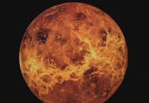 На Венере нашли второй явный признак жизни – глицин