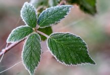 Украину накроет мощный антициклон, будут заморозки