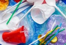 Польша и Великобритания серьёзно занялись охраной природы