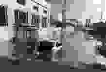 Наводнения и рекордное число молний: Израиль накрыла стихия