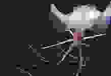 «Длинноруких» кальмаров впервые запечатлели на видео