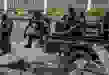 В Камеруне сепаратисты снова напали на школу, похищены 11 человек