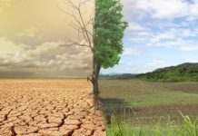 Климатические изменения могут быть страшнее COVID-19, – ООН