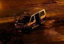 Террорист, убивший четырёх человек в Вене, действовал один, – МВД