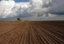 Эксперты рассказали, как граждане смогут продать свою землю