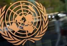 ООН объявила 2021-й Международным годом овощей и фруктов