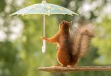 Британские метеорологи рассказали, какой будет погода в 2021-м